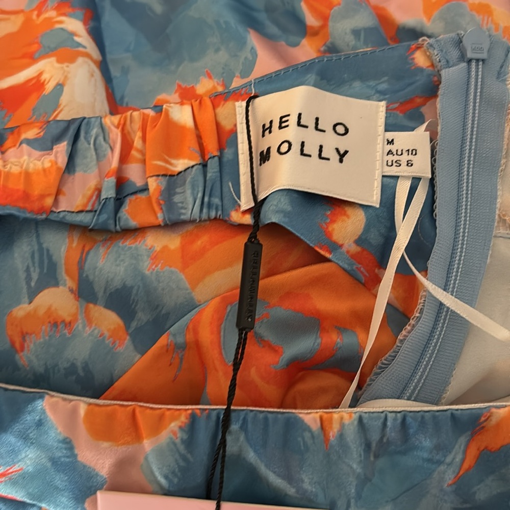 Hello Molly Blue and Orange Floral Maxi Dress - Picture 10 of 11